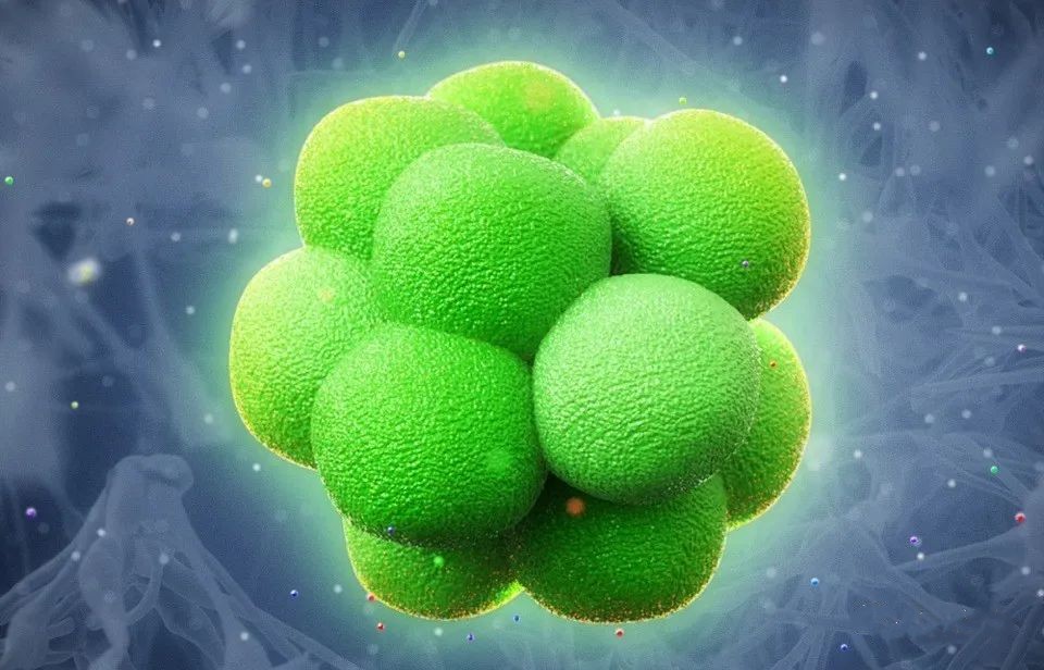 1681712955142462.jpg 420_副本.jpg